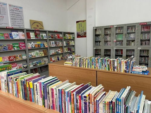 爱心传递 知识传承，华润三九员工为金寨华润希望小镇青少年捐献图书