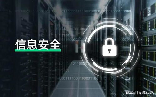 计算机信息系统安全专用产品销售许可与技术服务中的检测费用解析