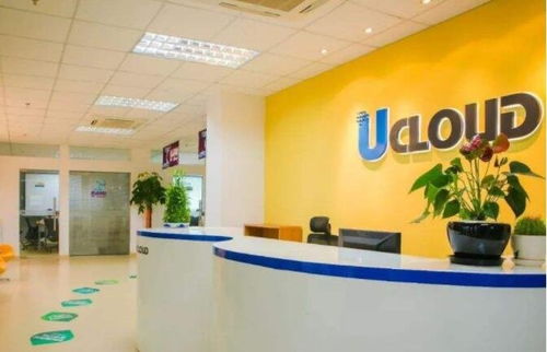 优刻得中签号公布 在线查询指南与计算机系统技术服务的未来展望